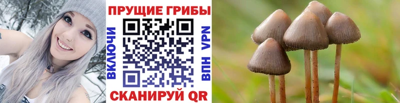 Псилоцибиновые грибы прущие грибы  маркетплейс Telegram  Ядрин  цена   гидра ONION 